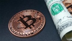 景亚萍利用政府服务器挖